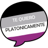 Camiseta mujer para el orgullo LGBTIQA+ diseño Te Quiero Platonicamente