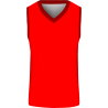 Conjunto de baloncesto sublimado modelo Colores Corporativos Exclusivos
