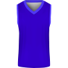 Conjunto de baloncesto sublimado modelo Colores Corporativos Exclusivos