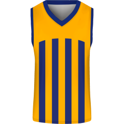 Camiseta baloncesto sublimada modelo Rayada