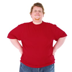 Camiseta básica tallas grandes 4XL Sol's REGENT colores