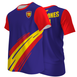 Camiseta Bandera Campeones de la Eurocopa 2024